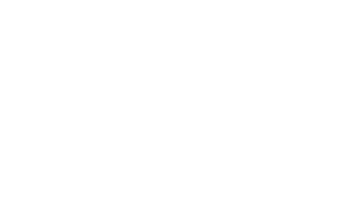 DHI Logo